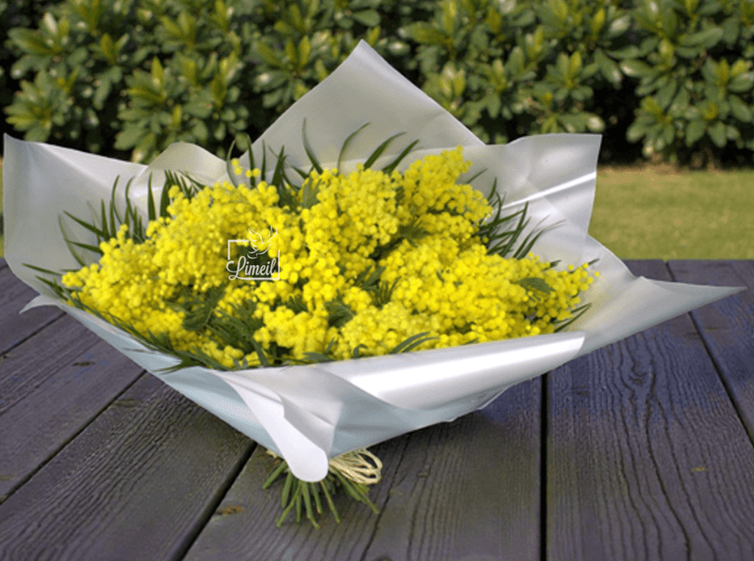 Bouquet de mimosa